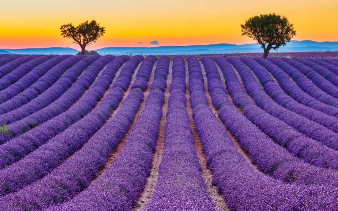 Your France Custom Tours DMC with Exclusive & Private