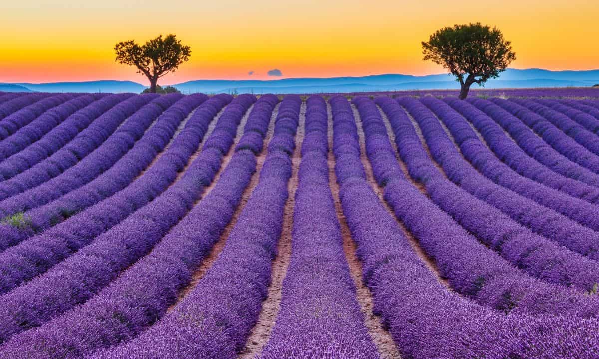 Your France Custom Tours DMC with Exclusive & Private