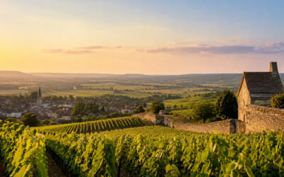 Complete Burgundy wine region map and travel overview