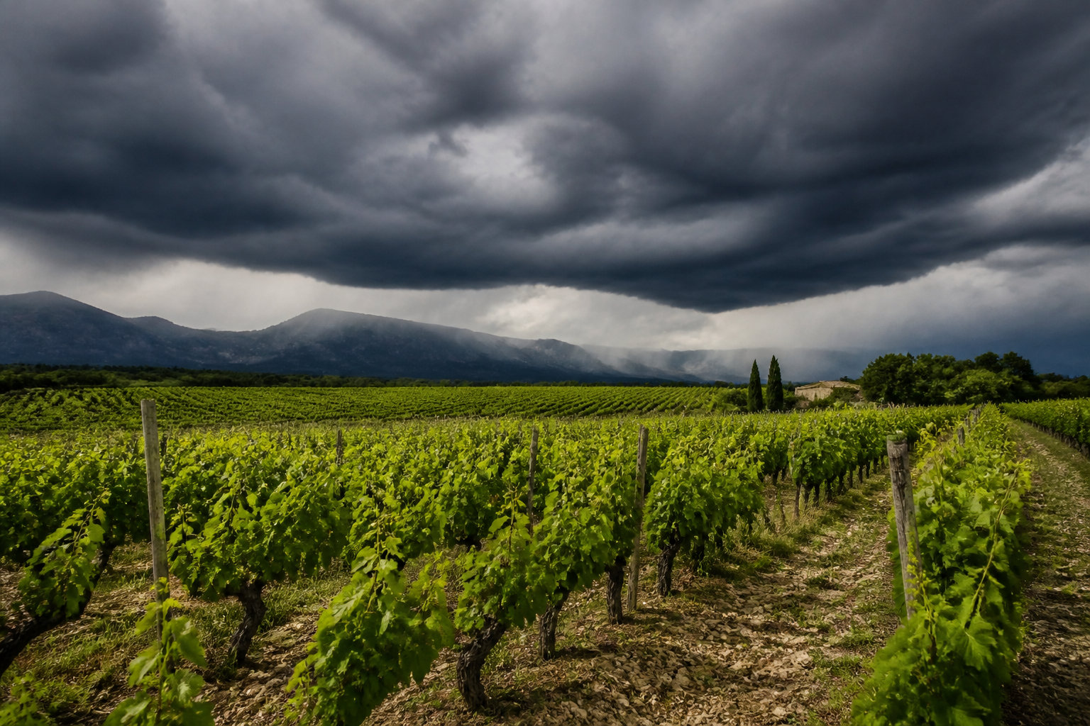 Rainfall and Atmosphere: Forces That Shape the Provencal Landscape